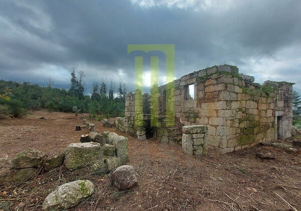 Quinta dos Vinhais com 8300 m2 e uma ruína. Quintas