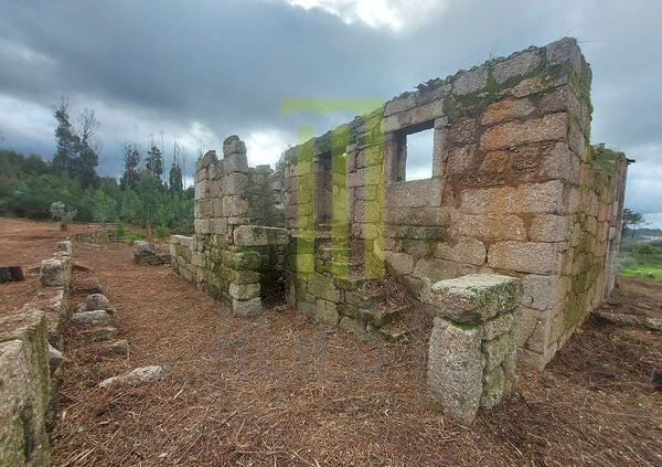 Quinta dos Vinhais com 8300 m2 e uma ruína. Quintas