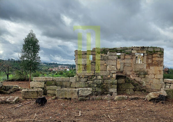 Quinta dos Vinhais com 8300 m2 e uma ruína. Quintas