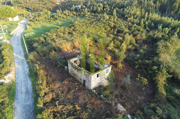 Quinta dos Vinhais com 8300 m2 e uma ruína. Quintas