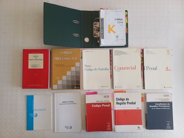 Manual de Direito Comunitário, 2001 . Livros