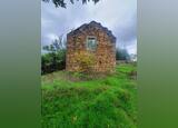 Quinta Aveleira com 7,000 m2 - Vila Pouca da Beira. Quintas