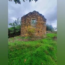 Quinta Aveleira com 7,000 m2 - Vila Pouca da Beira. Quintas