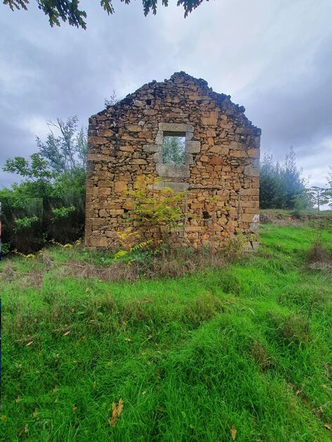 Quinta Aveleira com 7,000 m2 - Vila Pouca da Beira. Quintas