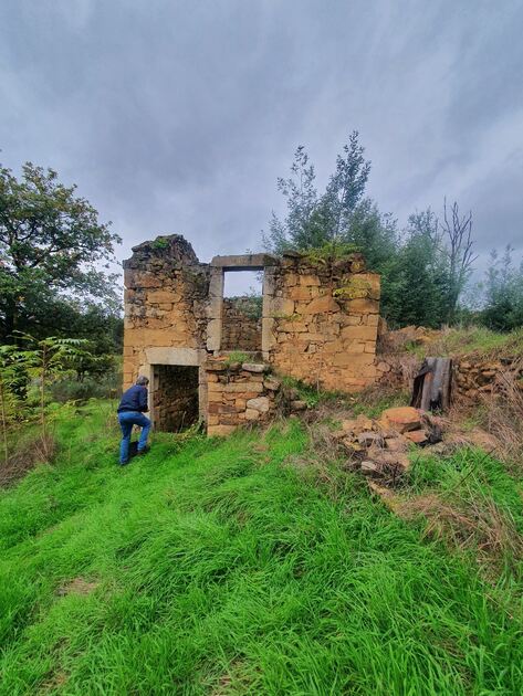 Quinta Aveleira com 7,000 m2 - Vila Pouca da Beira. Quintas