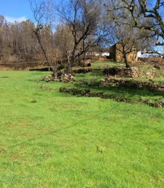 Quinta Aveleira com 7,000 m2 - Vila Pouca da Beira. Quintas