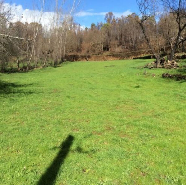 Quinta Aveleira com 7,000 m2 - Vila Pouca da Beira. Quintas