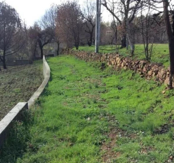 Quinta Aveleira com 7,000 m2 - Vila Pouca da Beira. Quintas