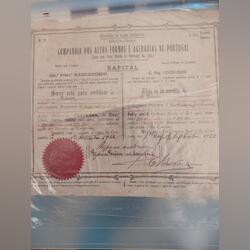 Título de ações antigo. Outras Artes e Coleccionismo