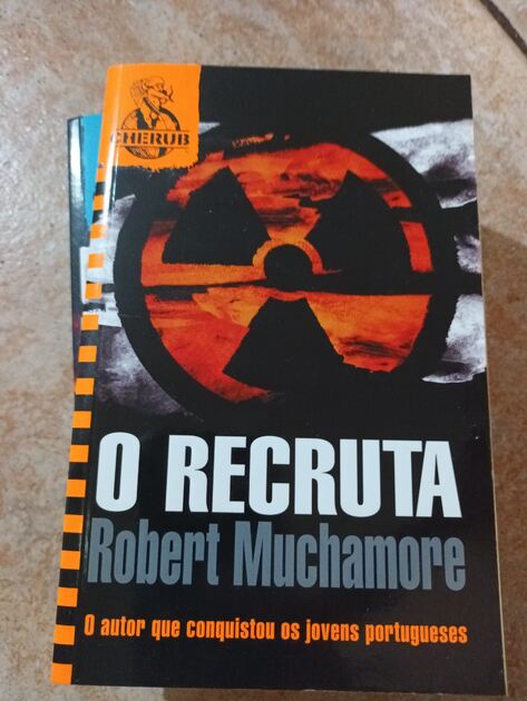 vários livros infantis e juvenis. Livros