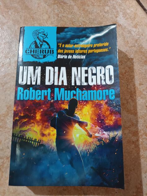 vários livros infantis e juvenis. Livros
