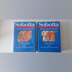 Atlas de anatomia SOBOTA. Livros. Sintra.  Escolares   