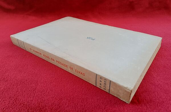 O Senhor Jesus da Piedade de Elvas . Livros