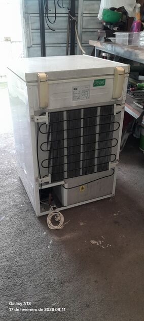 Arca congeladora pequena. Arcas Congeladoras