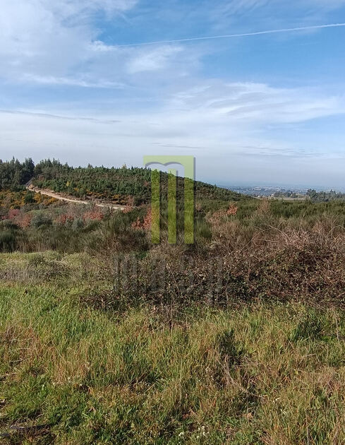 Quinta com projeto aprovado para uma moradia T3. Quintas