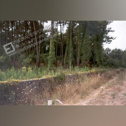 Terreno em Amorosa - Viana Castelo (1312). Terreno Rústico