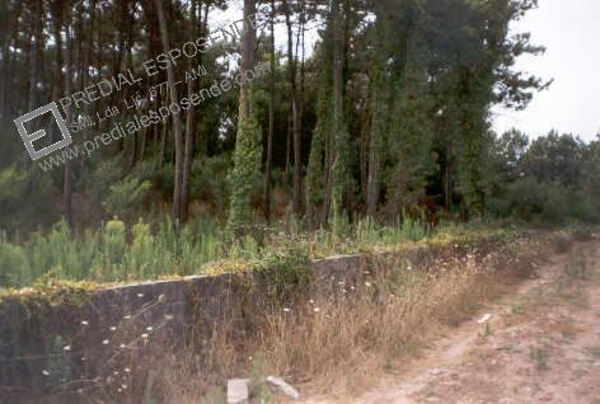 Terreno em Amorosa - Viana Castelo (1312). Terreno Rústico