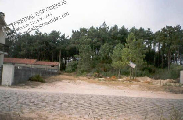 Terreno em Amorosa - Viana Castelo (1312). Terreno Rústico