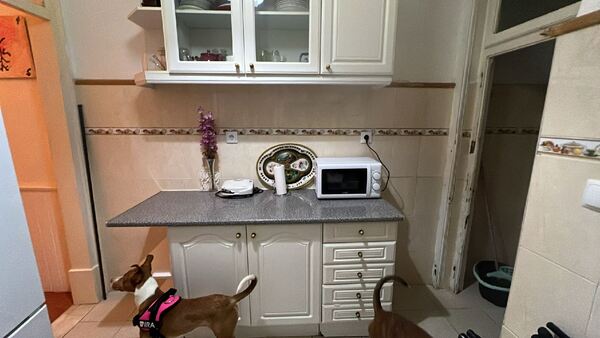 T1 Lisboa mobilado Fevereiro 2025. Casa e apartamentos para arrendar