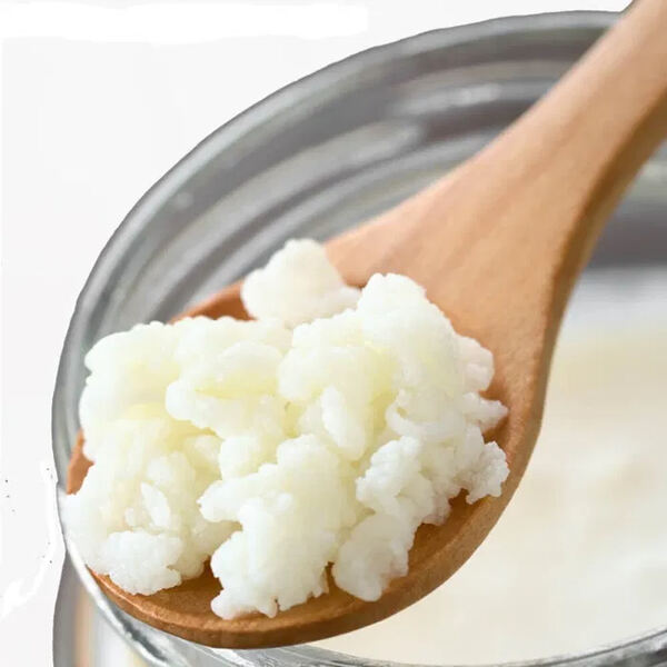 Grãos KEFIR de leite BIOLÓGICO Probiótico. Alimentos