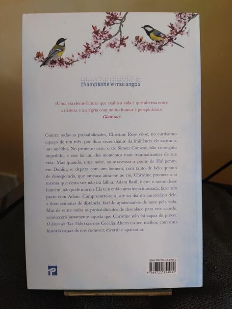 Livro “O Amor da Tua Vida”. Livros
