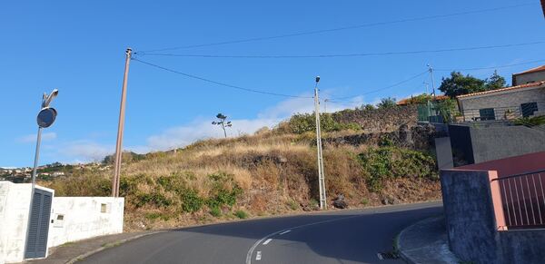 Venda Lote Santa Cruz. Lote