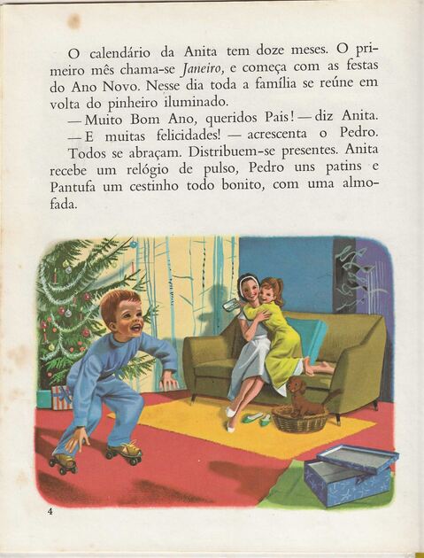 Anita e as 4 Estações. Livros