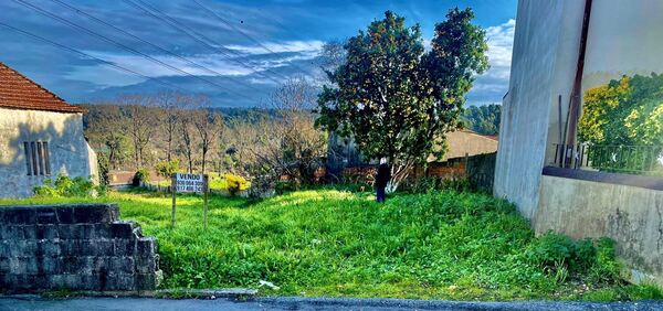 TERRENO 2900m2 - Lebre - Olival - VN Gaia. Terreno Rústico