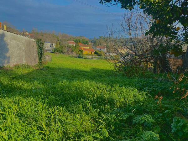 TERRENO 2900m2 - Lebre - Olival - VN Gaia. Terreno Rústico