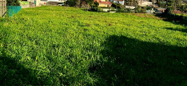 TERRENO 2900m2 - Lebre - Olival - VN Gaia. Terreno Rústico