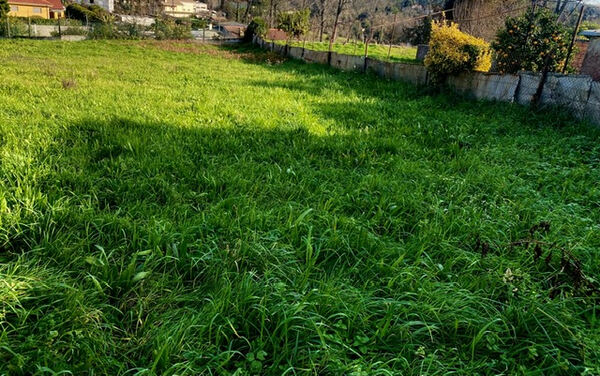 TERRENO 2900m2 - Lebre - Olival - VN Gaia. Terreno Rústico