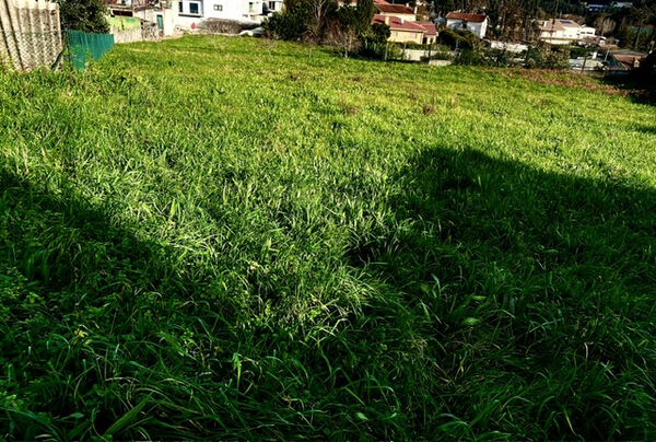 TERRENO 2900m2 - Lebre - Olival - VN Gaia. Terreno Rústico