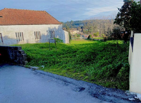 TERRENO 2900m2 - Lebre - Olival - VN Gaia. Terreno Rústico