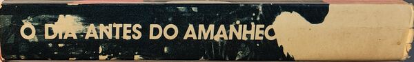 O Dia antes do Amanhecer - Thomas Wiseman. Livros
