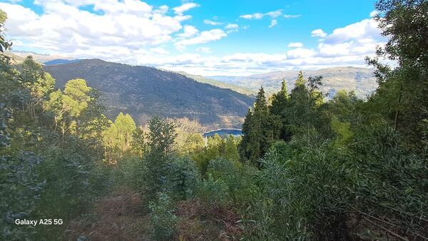 Terreno 3000 m² — Rio Caldo (Gerês). Terreno Rústico