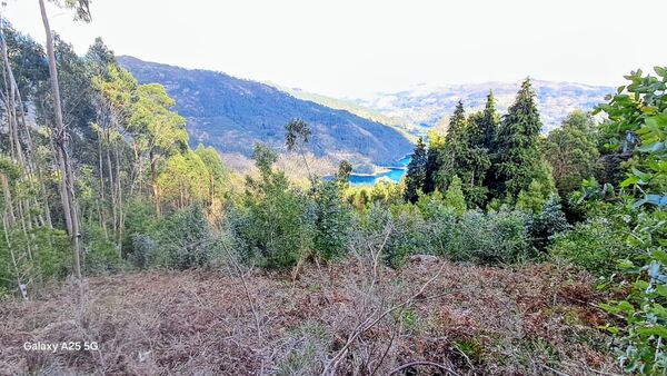 Terreno 3000 m² — Rio Caldo (Gerês). Terreno Rústico