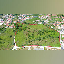 Terreno com viabilidade construção - Folhadela. Quintas