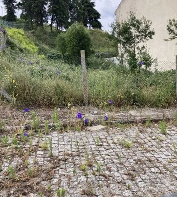 Terreno com área de 322 m2 para construção de mora. Lote