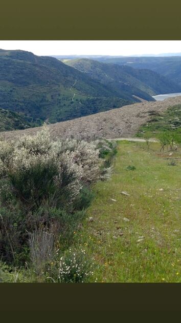 Terreno rústico em sequeiros . Terreno Rústico