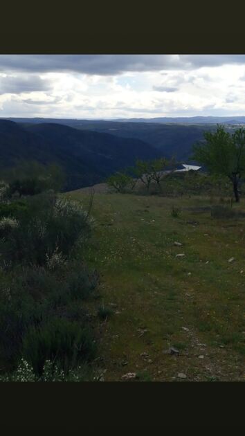 Terreno rústico em sequeiros . Terreno Rústico