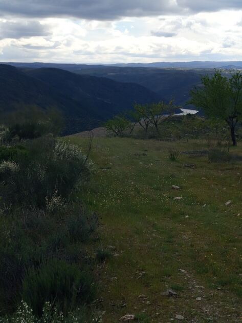 Terreno rústico em sequeiros . Terreno Rústico