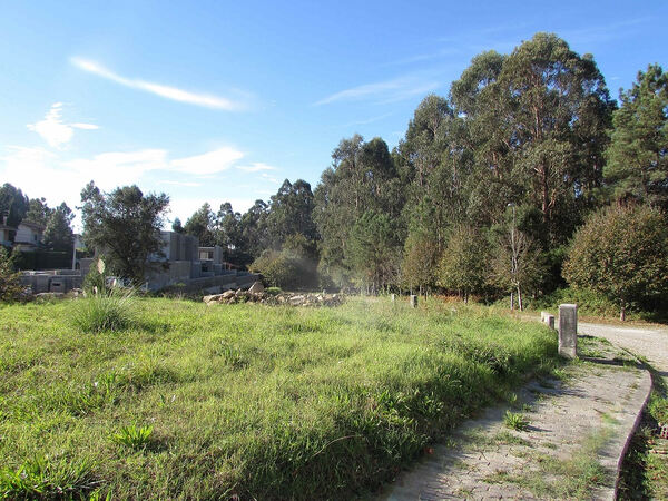 Lotes em Palmeira de Faro / Esposende (2432A). Lote