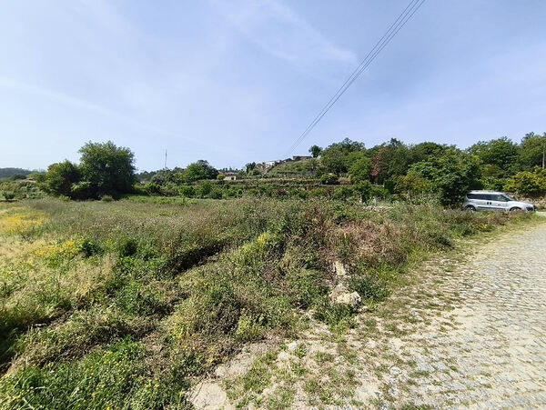 Terreno de construção em Curvos / Esposende (2997). Terreno Rústico