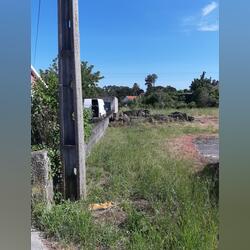 VISEU-NELAS-CANAS  TERRENO PARA CONSTRUÇAO. Lote