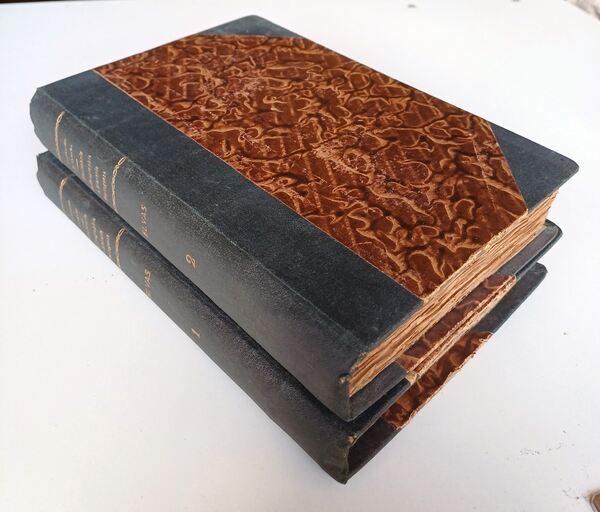 Dicionário Geographia e História Portugueza I e II. Livros