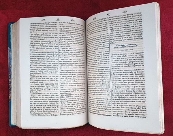 Dicionário Geographia e História Portugueza I e II. Livros