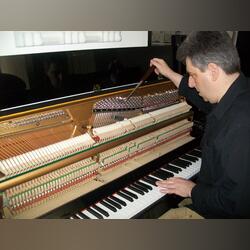 Técnico afinador de pianos. Lisboa. Outros Instrumentos