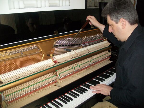 Técnico afinador de pianos. Lisboa. Outros Instrumentos