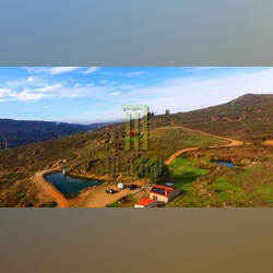 Quinta com 40 hectares em Celorico da Beira. Quintas