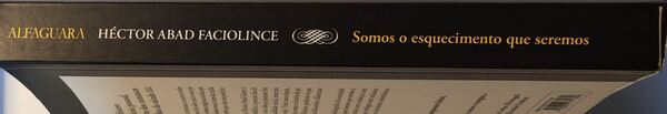 Somos o Esquecimento que Seremos. Livros